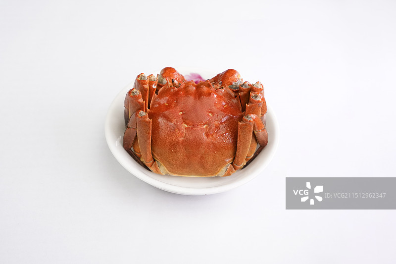 拍摄大闸蟹图片素材