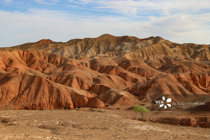 孤树•张掖丹霞图片素材