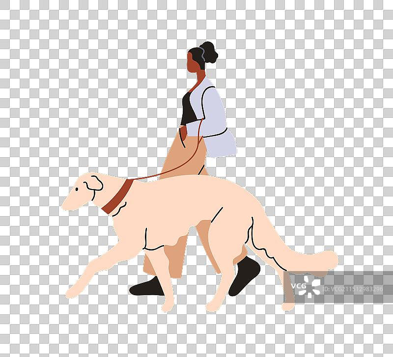 遛狗的女人和宠物主人图片素材