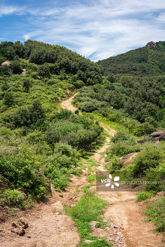 绿色山丘间的一条小径，小路，河南省舞钢市九龙山景区图片素材