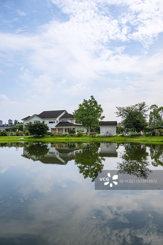 岸边的树木花草倒影在水中图片素材