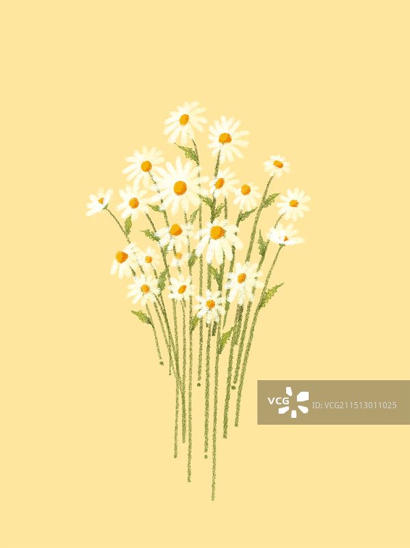 清新花束图片素材