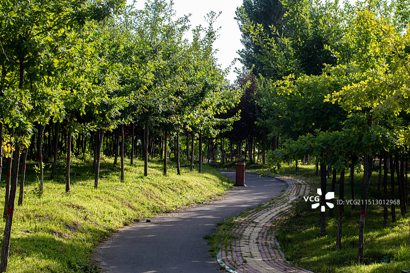 特克斯新城街道图片素材