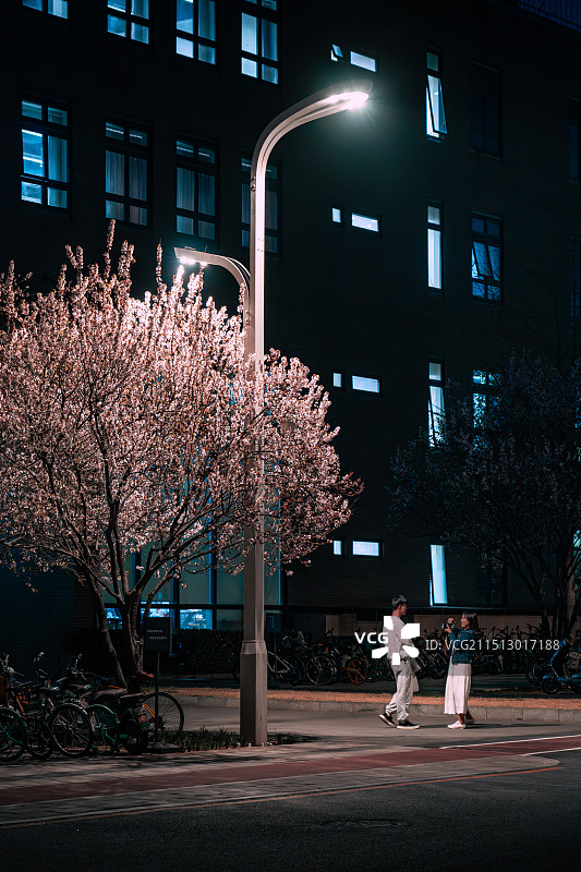 校园里的浪漫图片素材