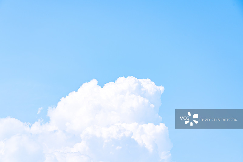 晴朗夏天的蓝天白云天空背景，绿色的梧桐树叶陪衬图片素材