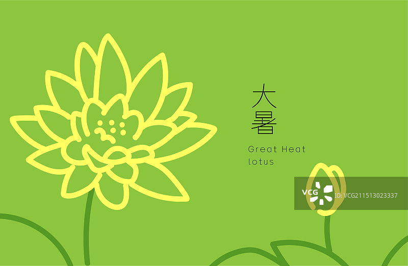 二十四节气之大暑睡莲图片素材