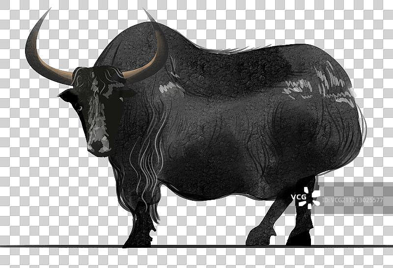 西藏青藏青海青藏高原保护动物牦牛卡通元素素材资讯插画图片素材