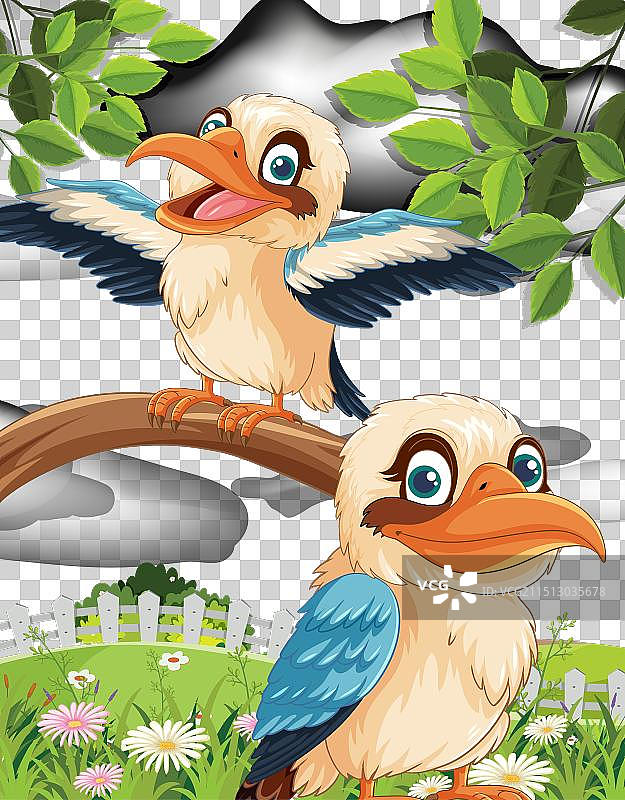 快乐的笑翠鸟栖息在树枝上图片素材