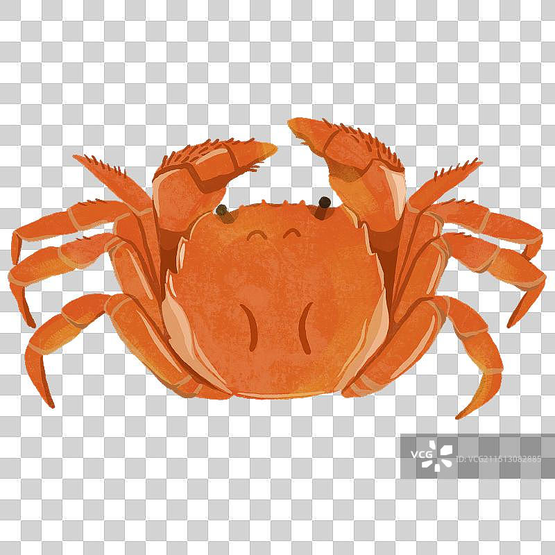 红色大闸蟹图片素材