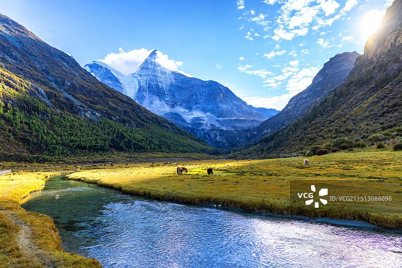 稻城亚丁央迈勇神山和河流景色图片素材