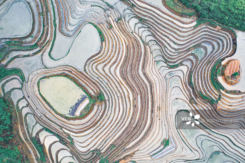 广西龙脊梯田20240519.32图片素材