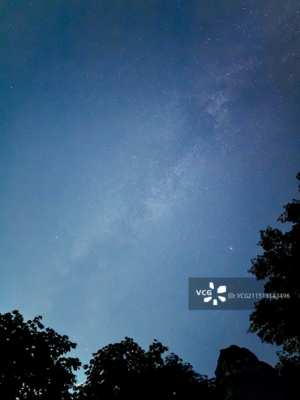 神农山风景区夏季银河夜空中树木轮廓的低角度视图图片素材