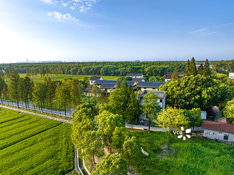 大树与稻田乡村艺术中心 上海松江区车墩镇长溇村乡村振兴 农村民房改建田园民宿 回归乡村理想生活图片素材