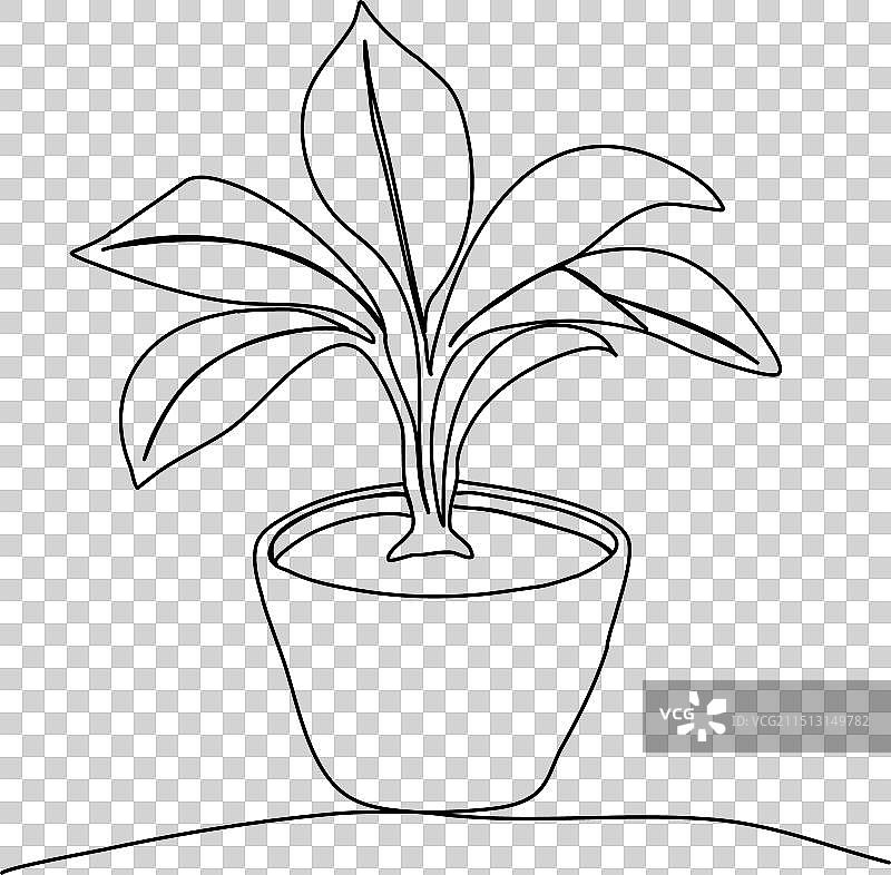 室内植物单线绘画图片素材