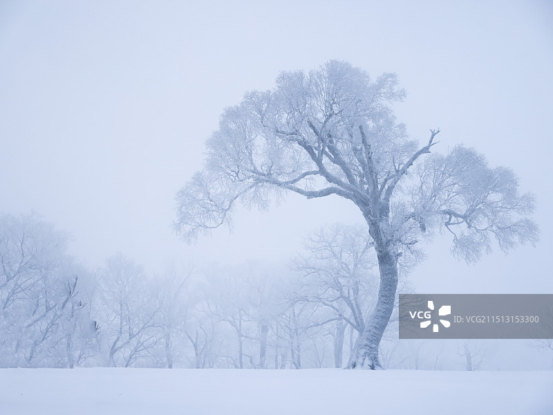 吉林雾凇图片素材