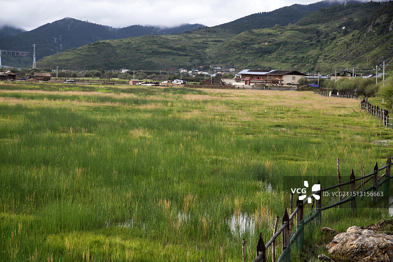 云南香格里拉纳帕海草原景区图片素材