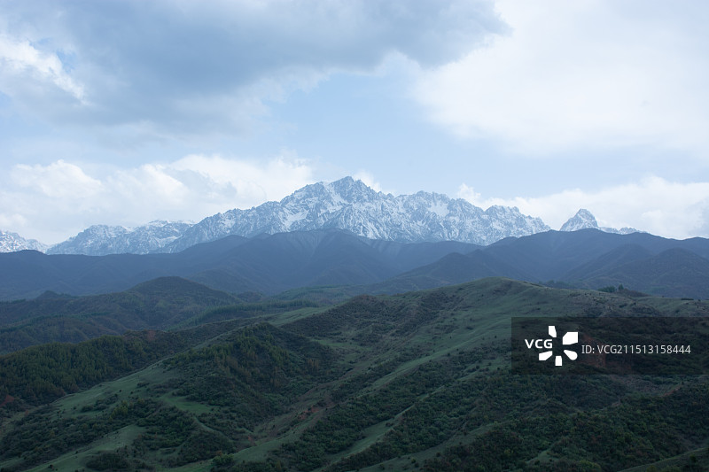 中国甘肃临夏太子山耳子屲粱夏天森林雪山自然风光图片素材