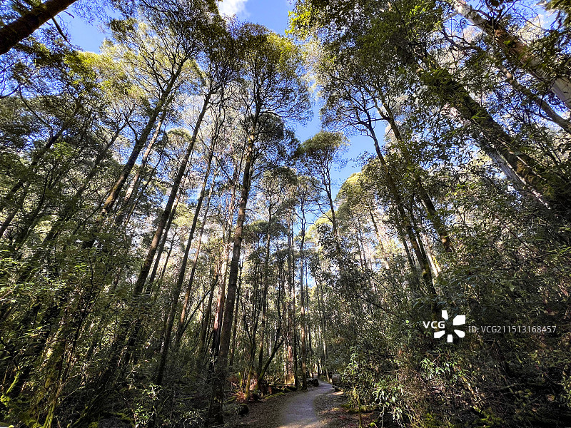 惠灵顿山图片素材