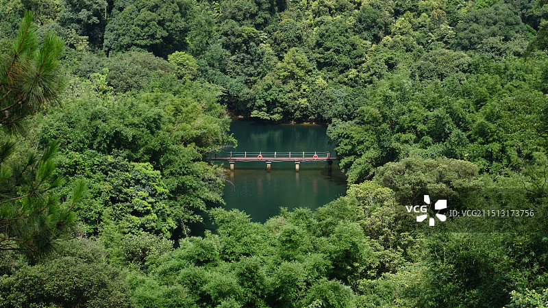 广东肇庆星湖风景名胜区鼎湖山景区自然风景图片素材