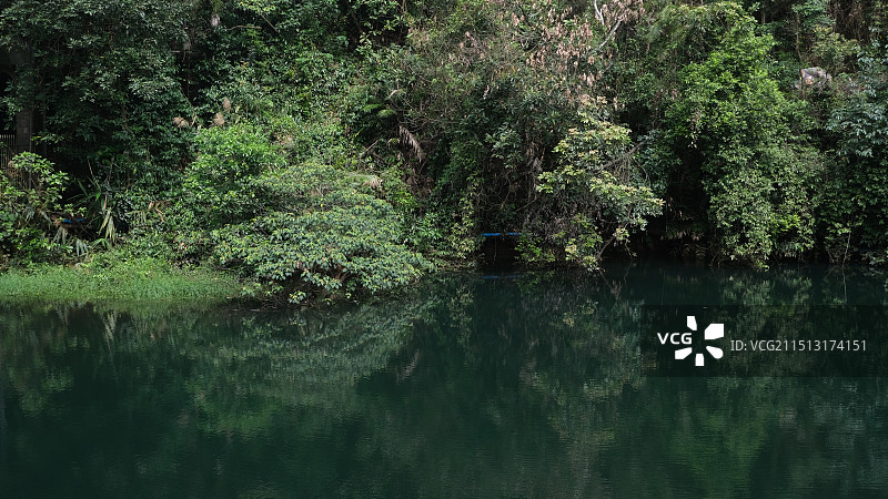 广东肇庆星湖风景名胜区鼎湖山景区自然风景图片素材