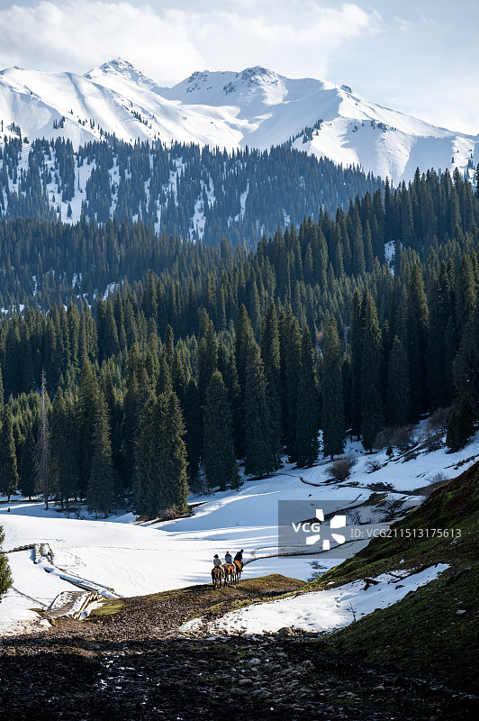 新疆伊犁巩留县库尔德宁风景区风光图片素材