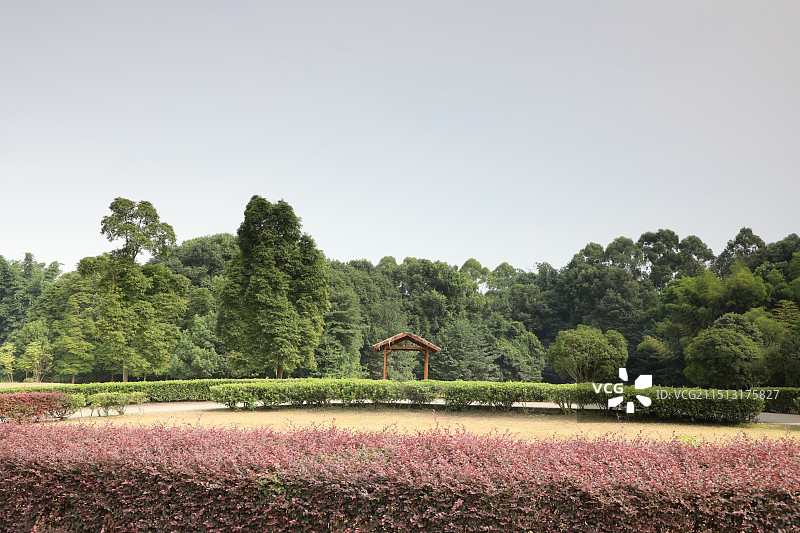 成都斑竹林图片素材