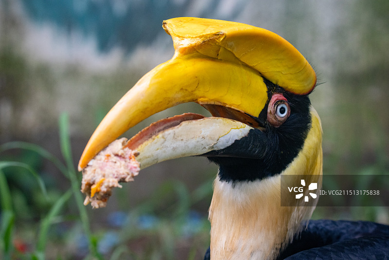 沈阳森林动物园图片素材