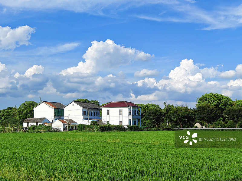 夏日的美丽乡村图片素材