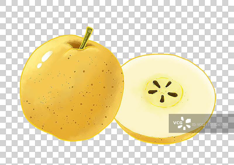 梨雪梨贡梨插画梨水果素材图片素材