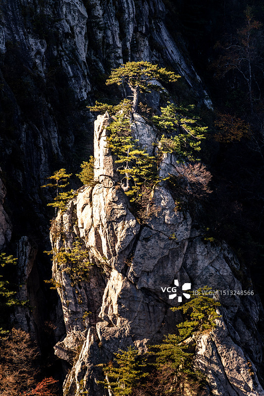 豫西南的秋天图片素材