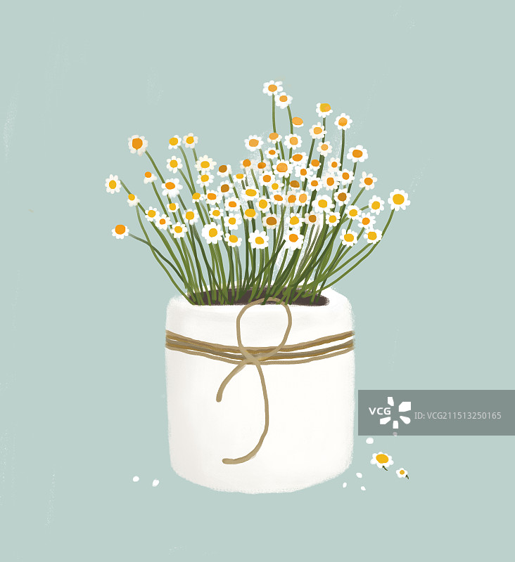手绘插画小雏菊图片素材