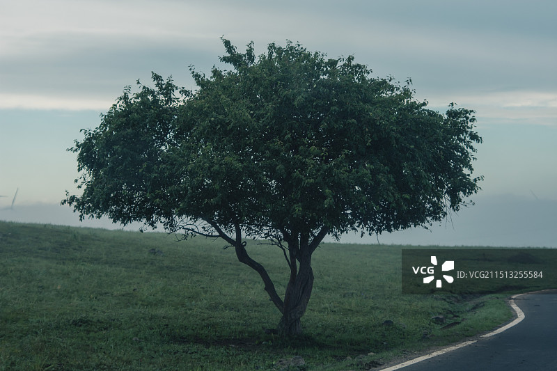 承德御道口草原森林风景区图片素材