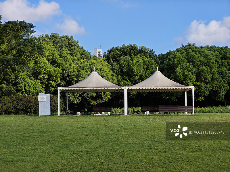 公园里草坪上搭建了一些凉亭开展象棋比赛 上海浦东世纪公园 浦东中央公园 花木街道全国象棋之乡图片素材