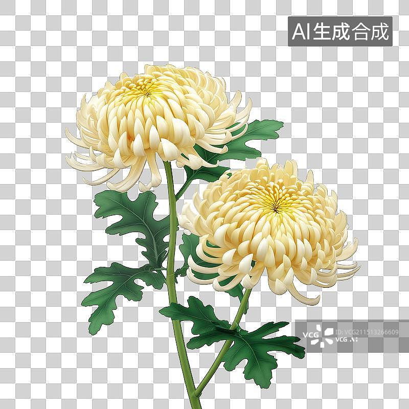 【AI数字艺术】一枝浅黄色菊花图片素材