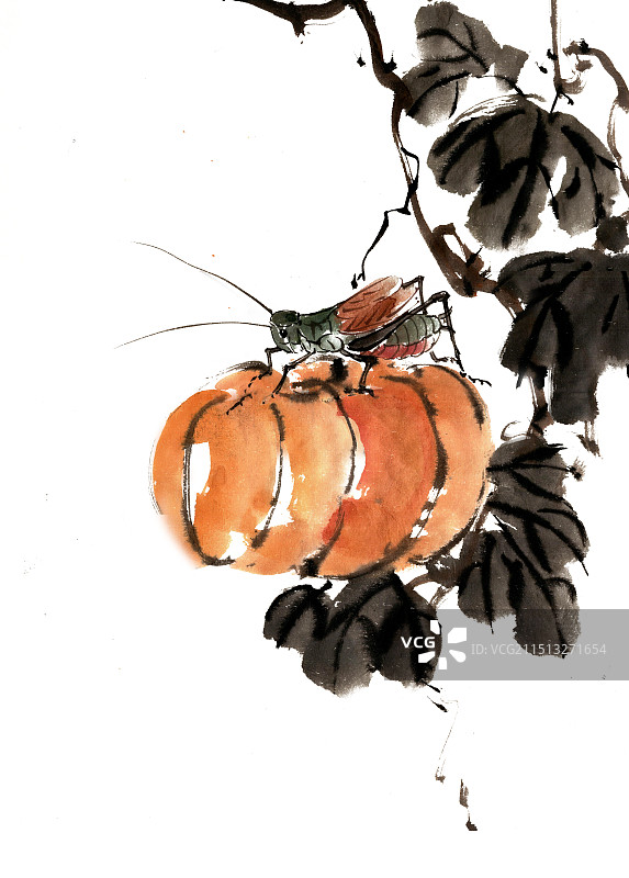 南瓜上的蝈蝈图片素材