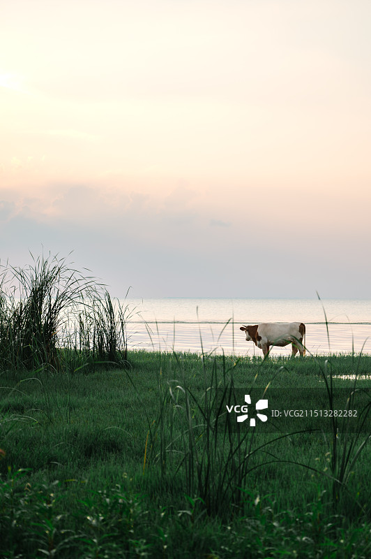 宿迁阿勒泰图片素材
