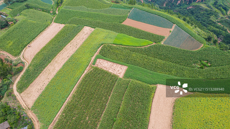 中国山西临汾翼城县黄土高原植被农田航拍图片素材