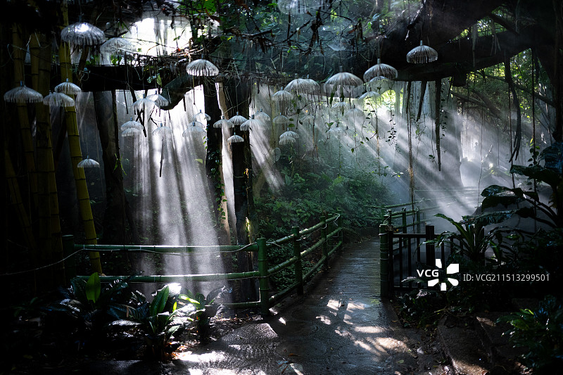 深圳市青青世界旅游区图片素材