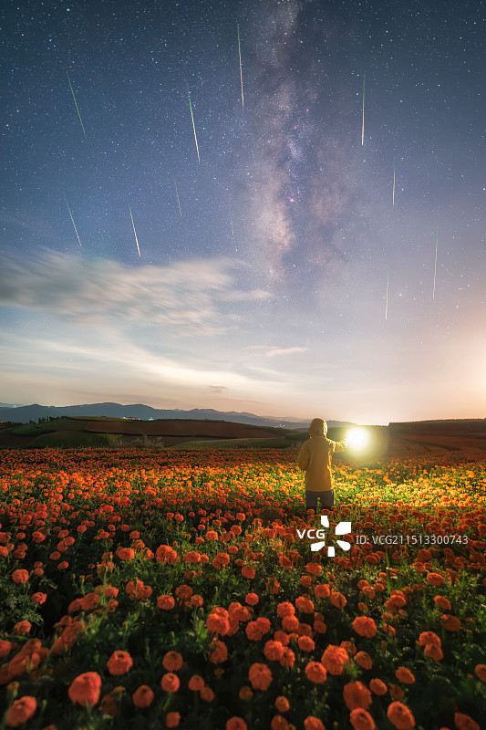 东川花海流星雨图片素材