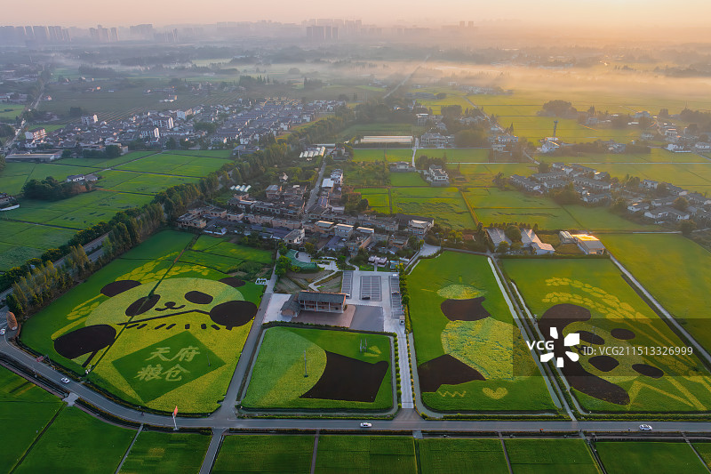 成都：天府粮仓丰收在即图片素材