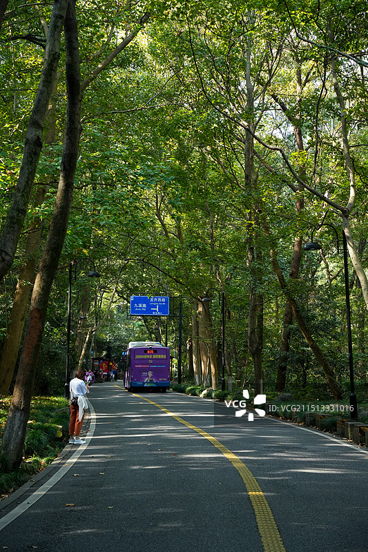 杭州 满觉陇路 公路 马路 街景图片素材