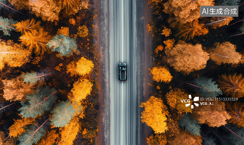 【AI数字艺术】航拍视角汽车在秋天的森林小道中行驶图片素材