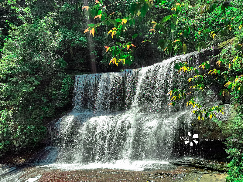 泸州黄荆老林旅游景区图片素材