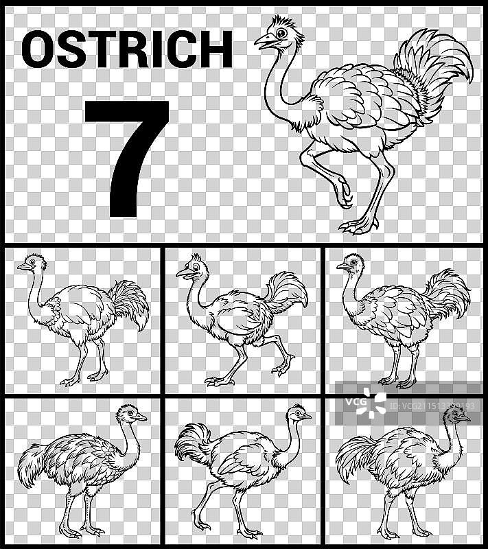 鸵鸟轮廓线稿图集图片素材