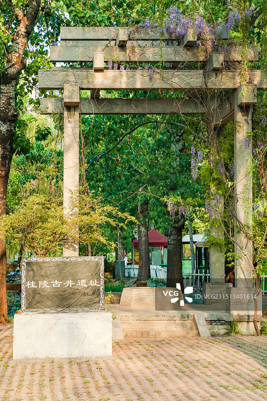 菏泽曹州牡丹园景区图片素材