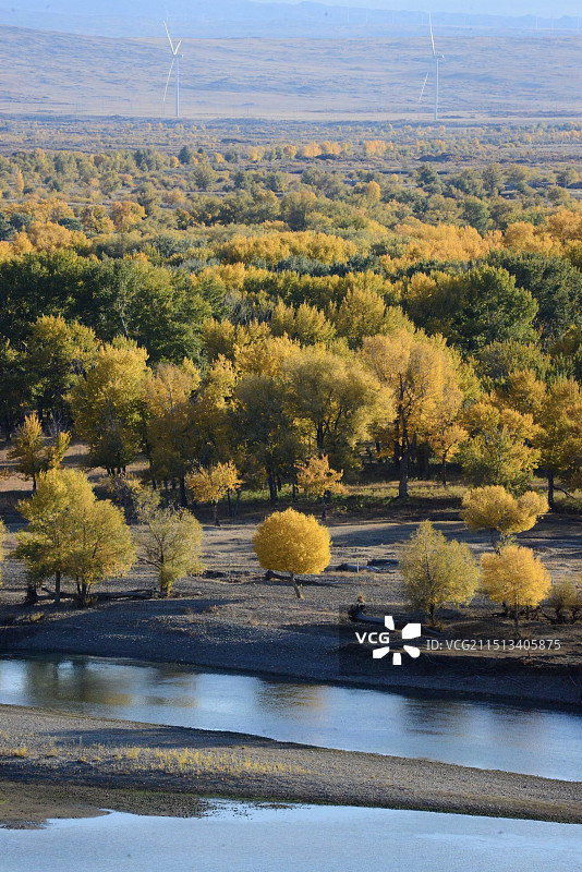 克拉玛依河景区图片素材