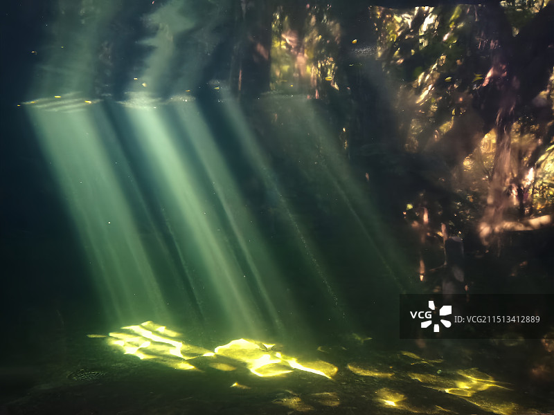 深圳市青青世界旅游区图片素材