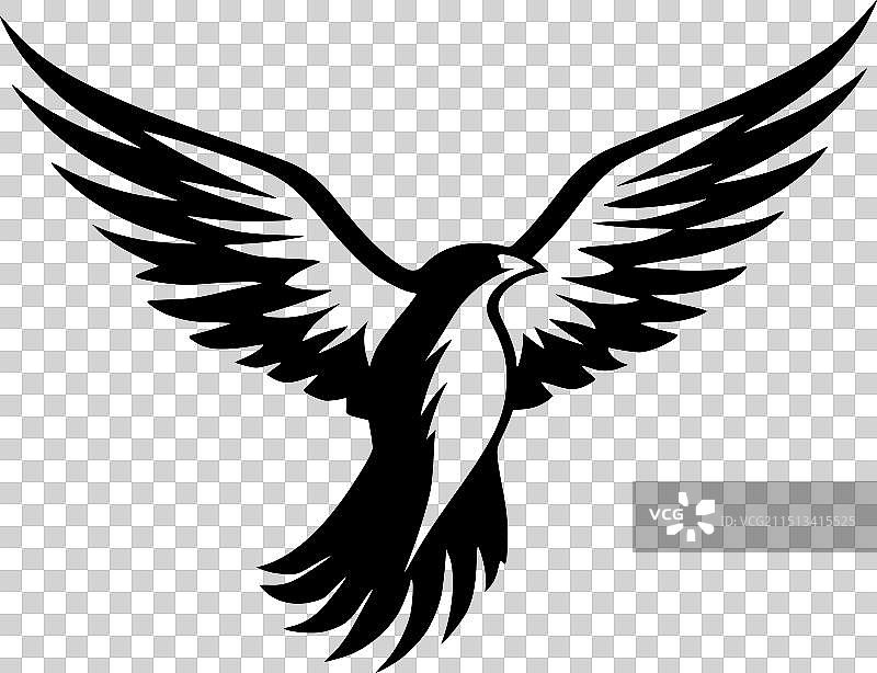 黑白海燕图片素材