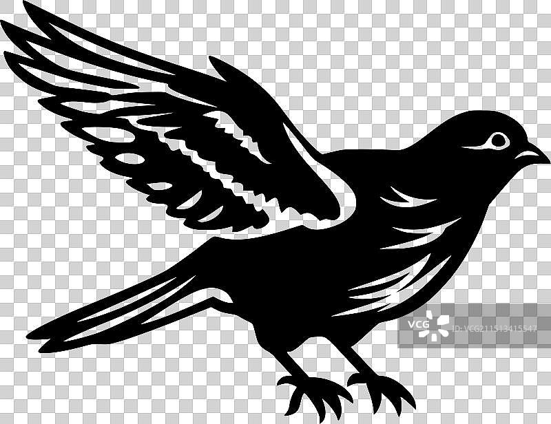 黑白色鸽子隔离图标图片素材