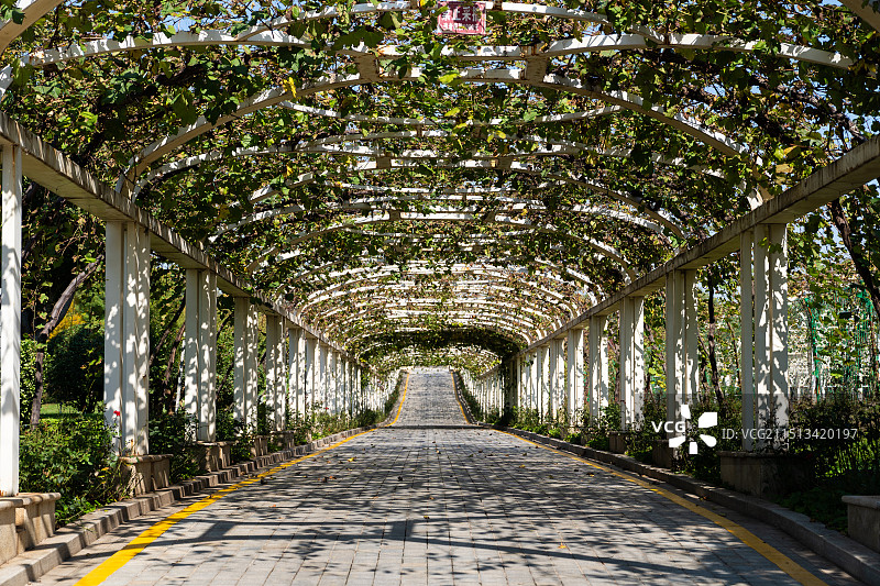 西安陕西张裕瑞那城堡酒庄图片素材